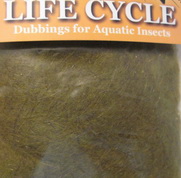 ������� life cycle dub NYMPH md oliva  Wapsi